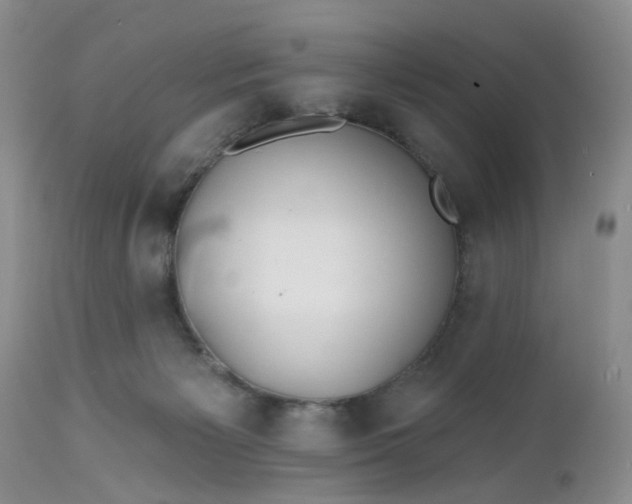 X0000112540125200908311456