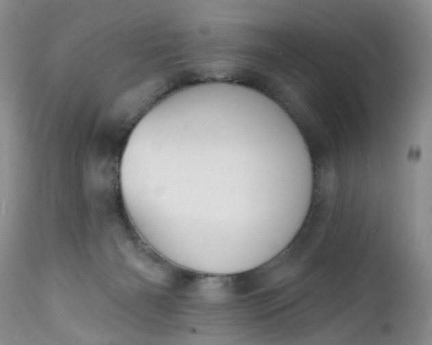 X0000112540126200908311456