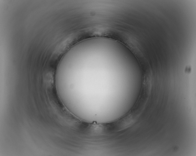 X0000112540127200908311456