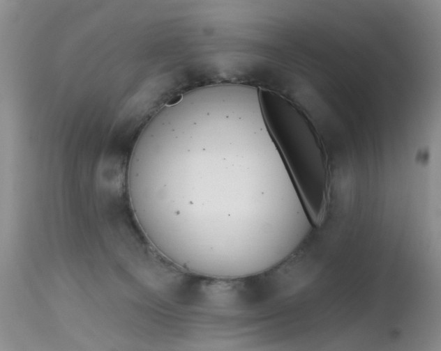 X0000112540129200908311455