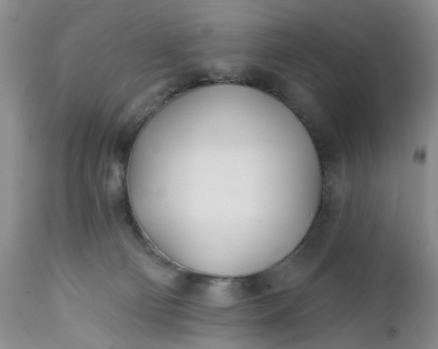 X0000112540130200908311455