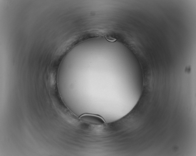 X0000112540131200908311455