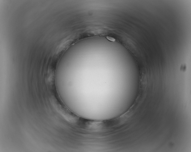 X0000112540132200908311455