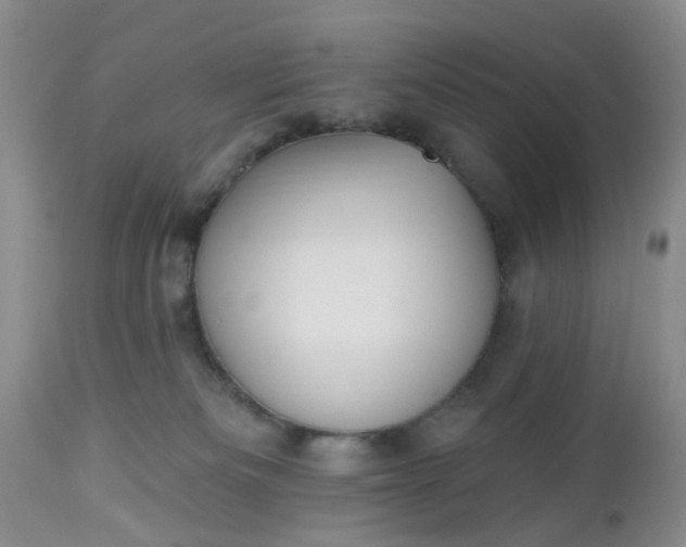 X0000112540133200908311455