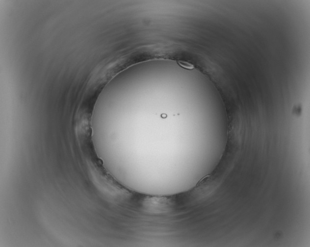 X0000112540137200908311455