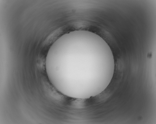 X0000112540138200908311455