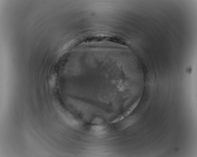 X0000112540139200908311455