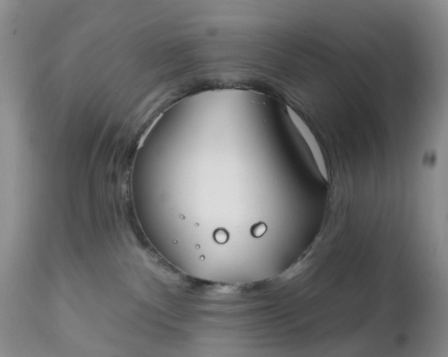 X0000112540140200908311455