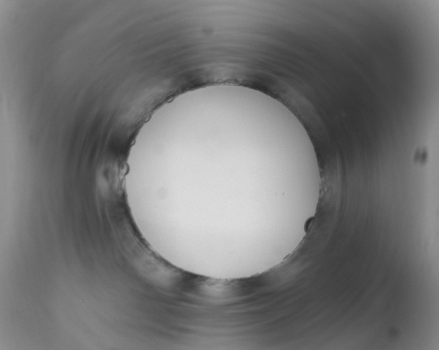 X0000112540142200908311455