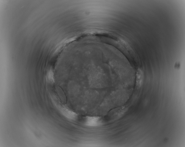 X0000112540143200908311455