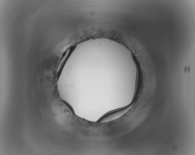 X0000112540144200908311455