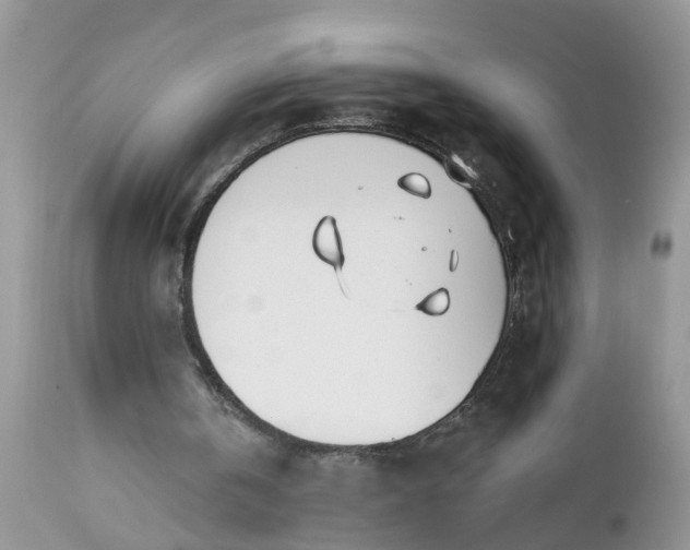 X0000112540146200908311454