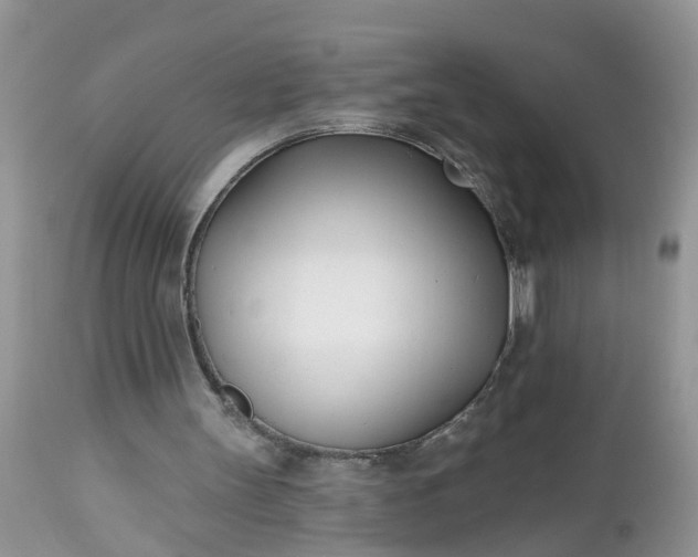 X0000112540147200908311454