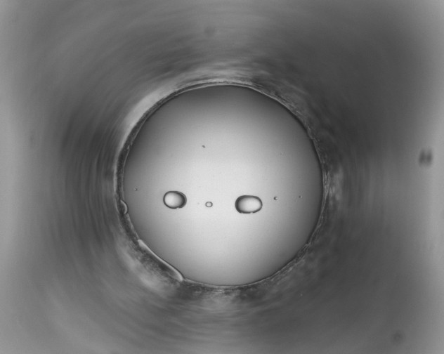 X0000112540148200908311454
