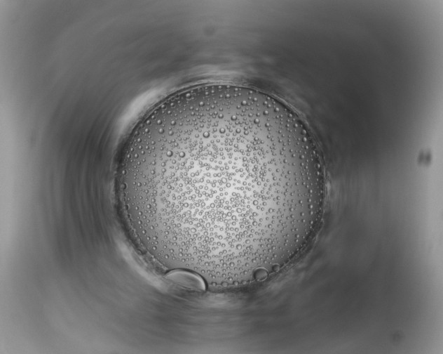 X0000112540149200908311454