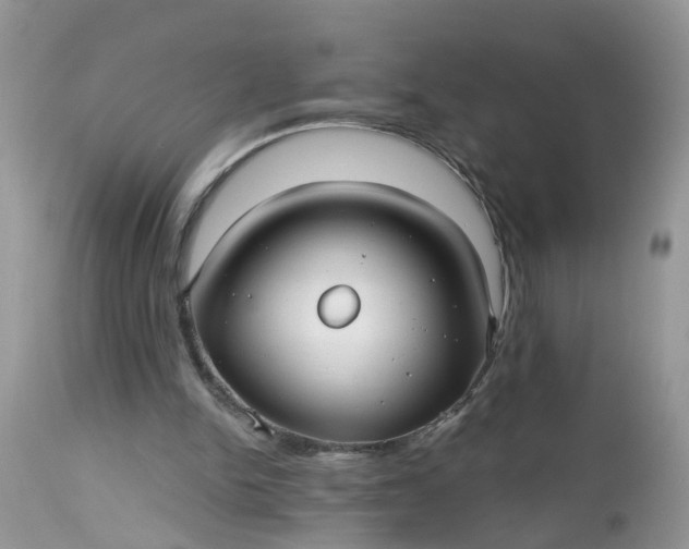 X0000112540150200908311454