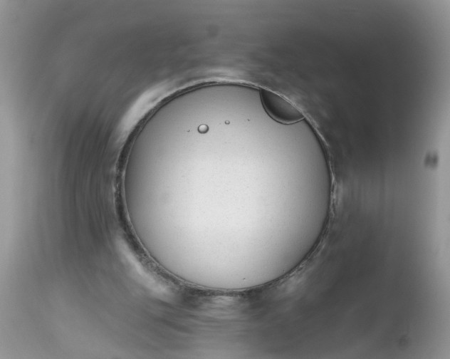 X0000112540151200908311454