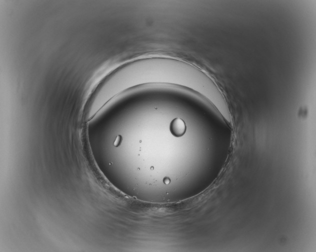 X0000112540152200908311454