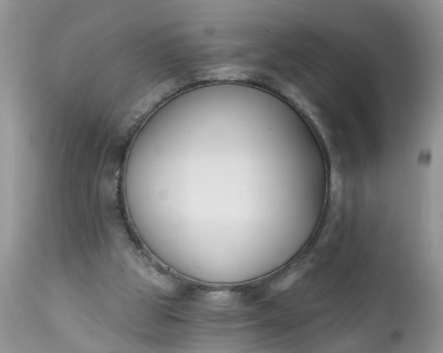 X0000112540153200908311454