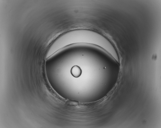 X0000112540154200908311454