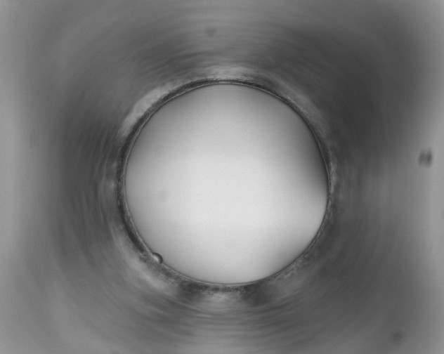 X0000112540155200908311454