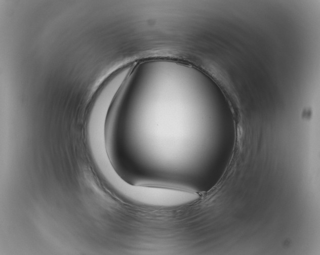 X0000112540156200908311454
