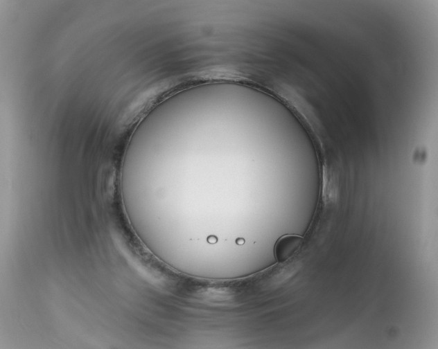 X0000112540157200908311454