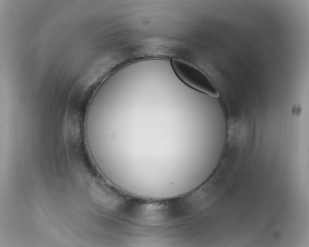X0000112540158200908311455