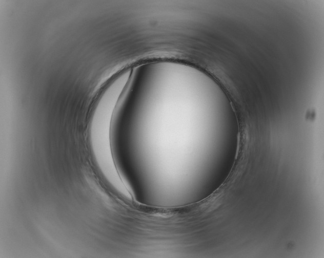 X0000112540160200908311455