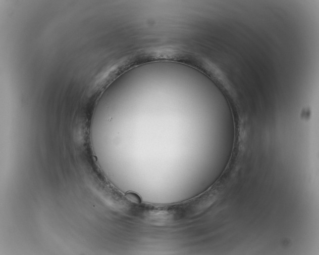 X0000112540161200908311455