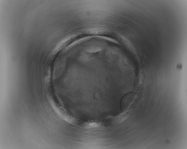 X0000112540163200908311455