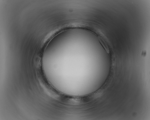 X0000112540164200908311455