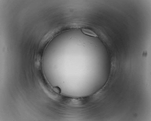 X0000112540166200908311455