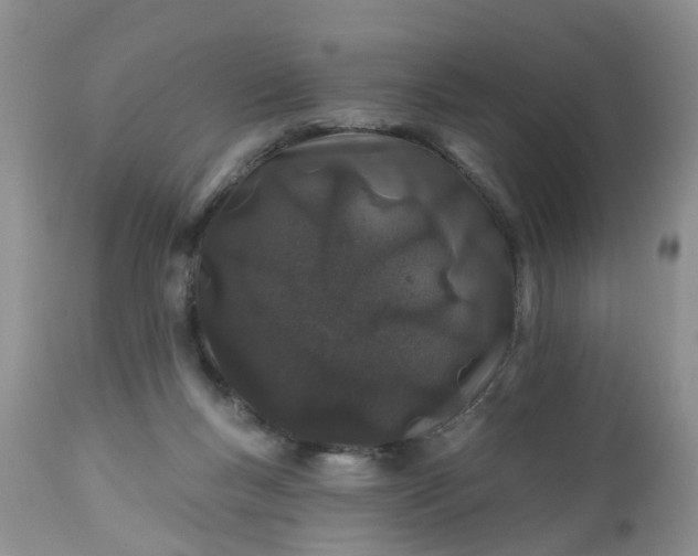 X0000112540167200908311455