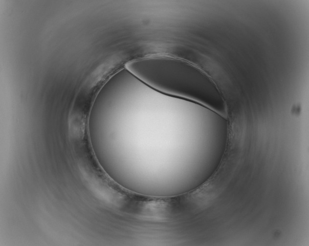 X0000112540168200908311455