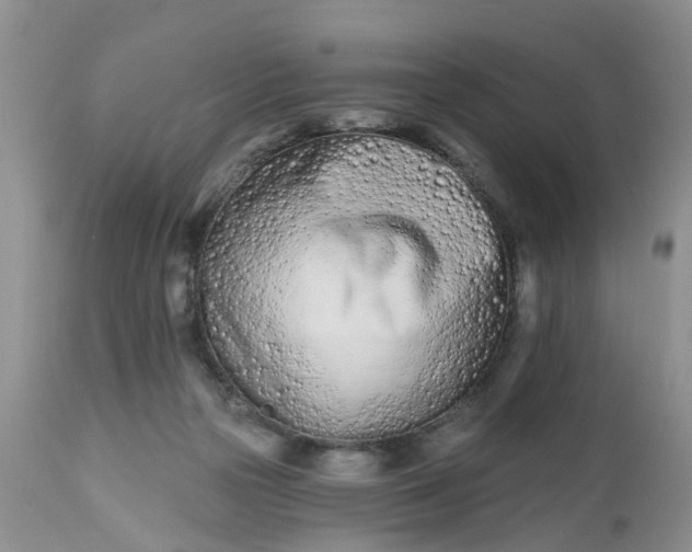 X0000112540169200908311455