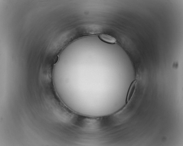 X0000112540170200908311455