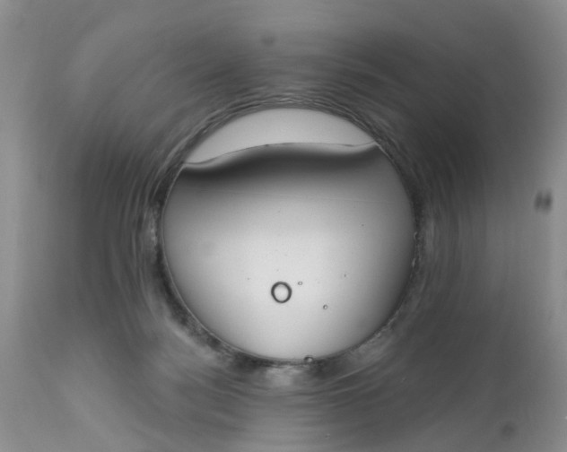 X0000112540172200908311455