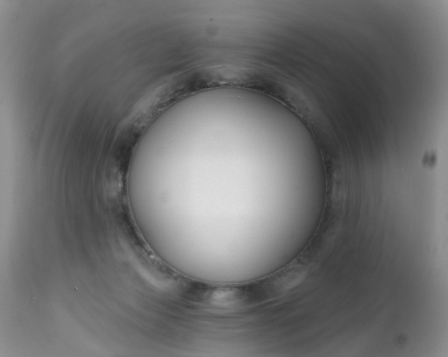 X0000112540173200908311455