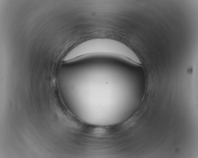 X0000112540176200908311455
