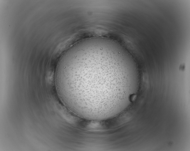 X0000112540177200908311455