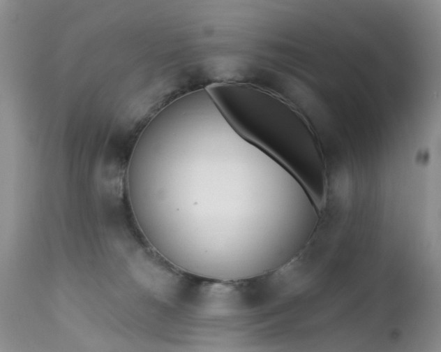 X0000112540180200908311455