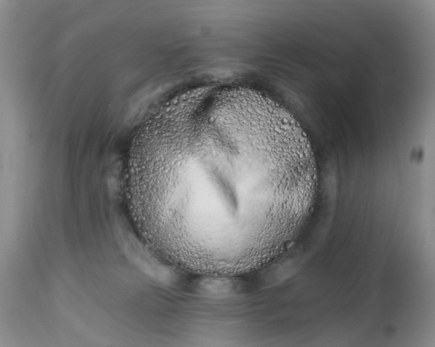 X0000112540181200908311455