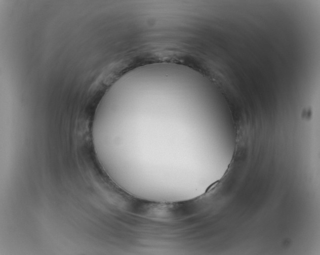 X0000112540182200908311455