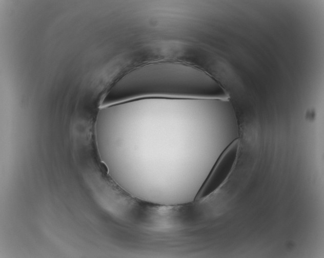 X0000112540184200908311455