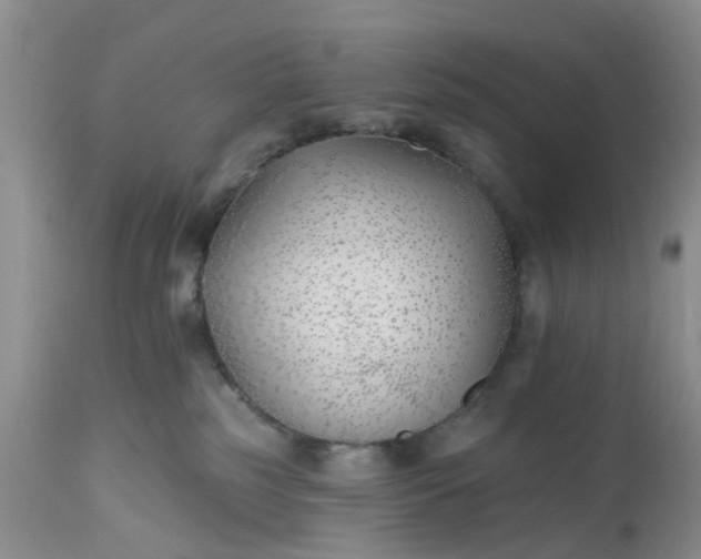 X0000112540185200908311455