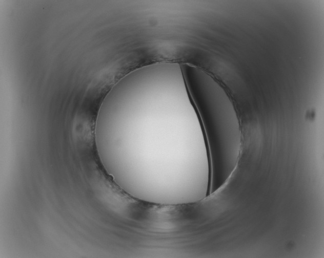 X0000112540186200908311455