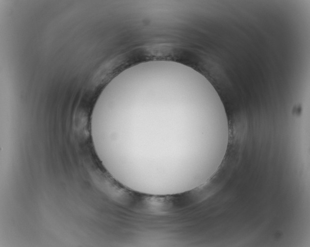 X0000112540187200908311455