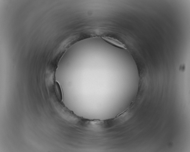 X0000112540188200908311455