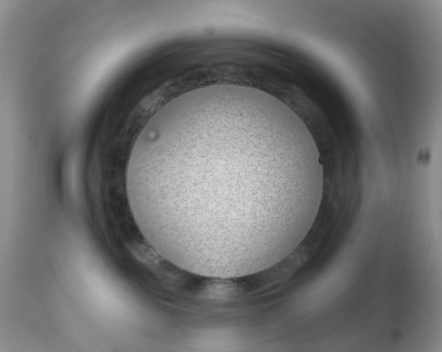 X0000112540189200908311455